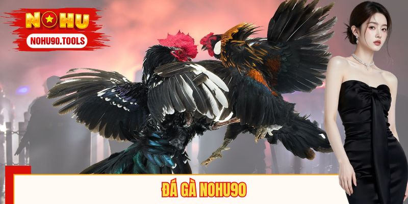 Đá Gà NOHU90 – Đa Dạng Loại Hình, Nhiều Trận Đấu Kịch Tính